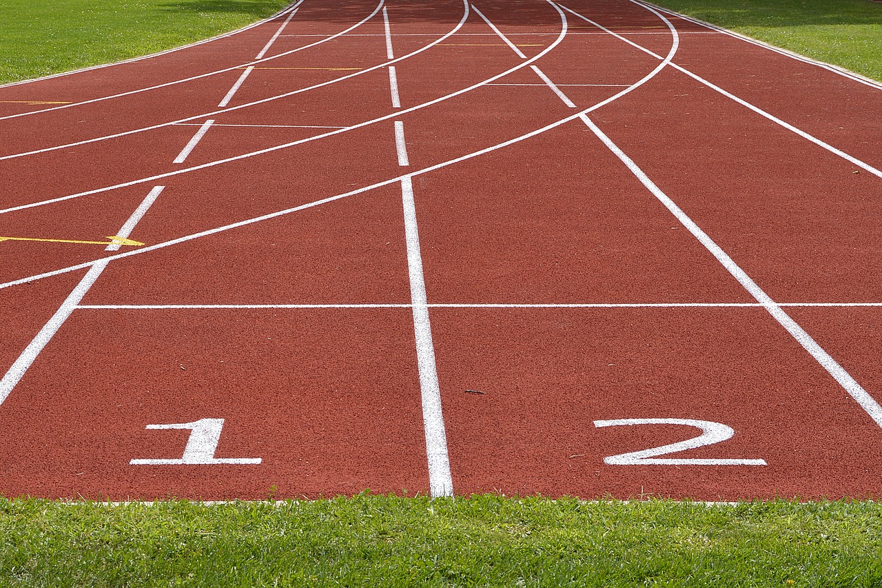 Orientamento in Rete Materie del liceo scientifico tradizionale, Scienze Applicate e Sportivo